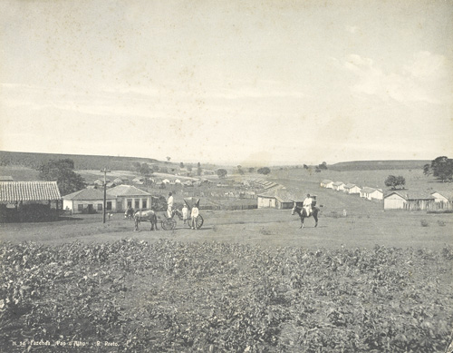 Fazenda Pão d’Alho – R. Preto. Fotografia de Guilherme Gaensly, início do século XX. (Acervo APESP)